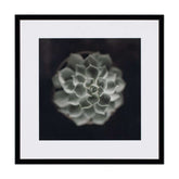 Картина 21 X 21 CACTUS II I Мебели VOX