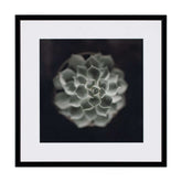 Картина 21 X 21 CACTUS II