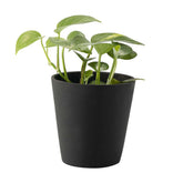 Кашпа голяма DUNO NAF1079-L16 I Мебели VOX