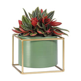 Метална стойка за кашпа ниска GRINO GM40-20459 - зелен I Мебели VOX