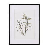 Картини SEAPLANT