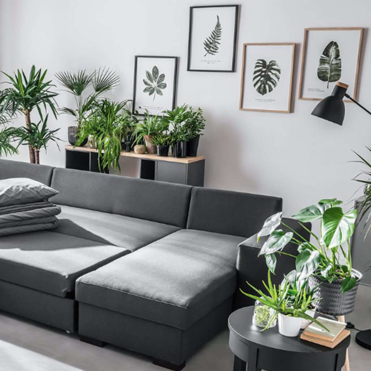 Картина BOTANIQ I Мебели VOX