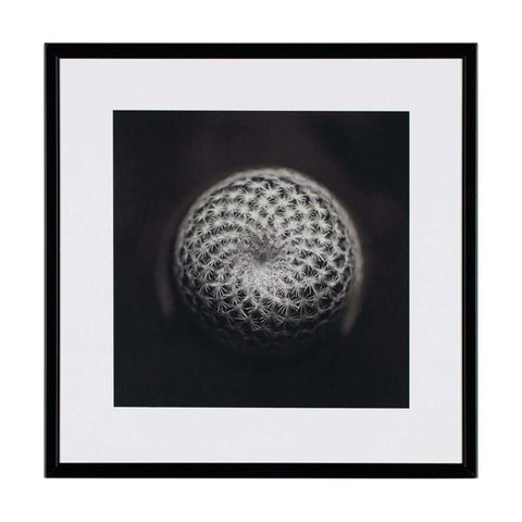 Картина 21 X 21 CACTUS III