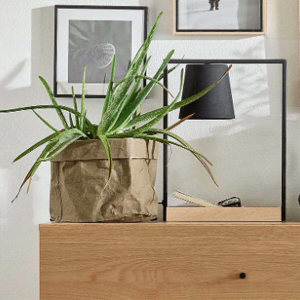 Кашпа CALM I Мебели VOX