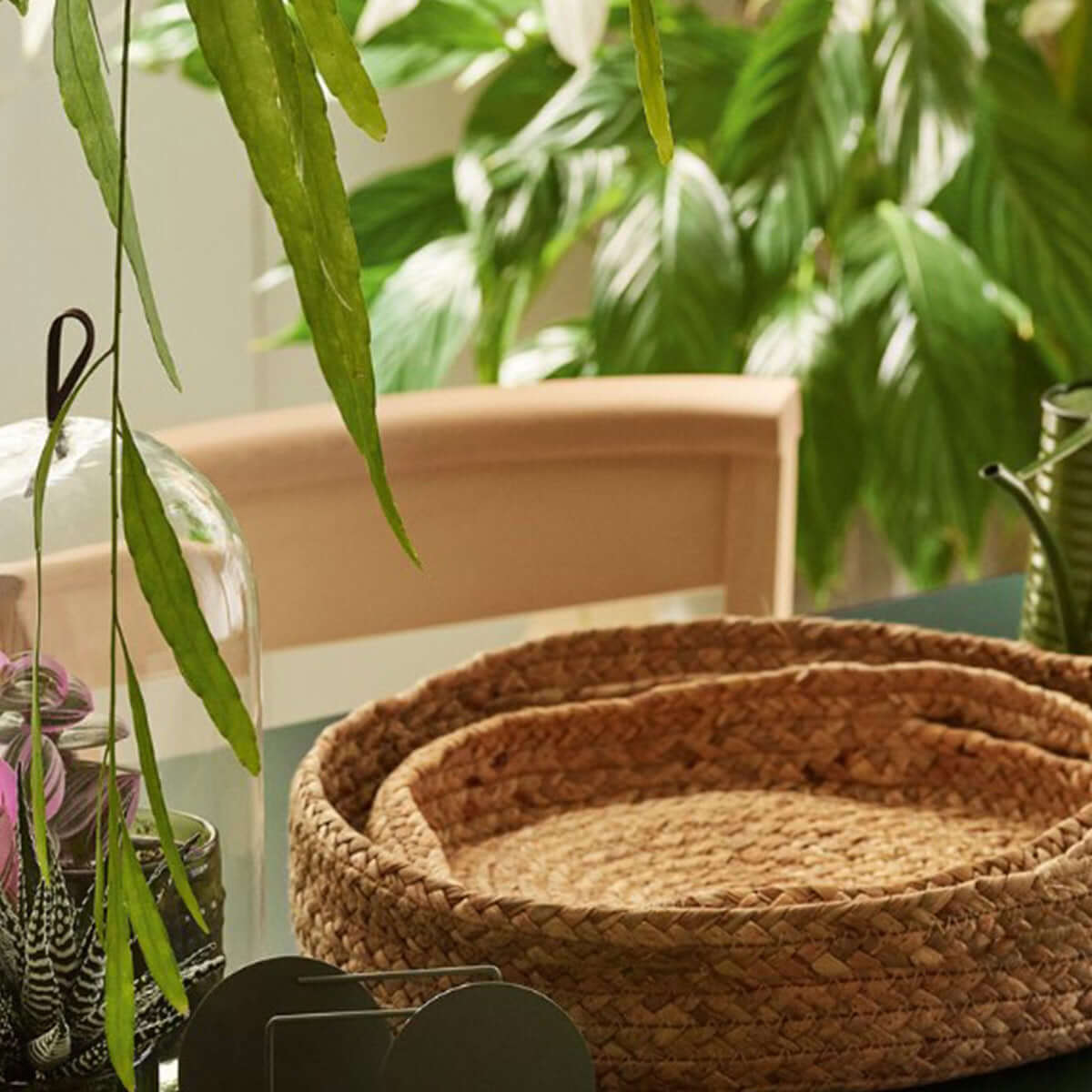 Плетени подноси PAJO 19400 комплект от 3 бр. I Мебели VOX